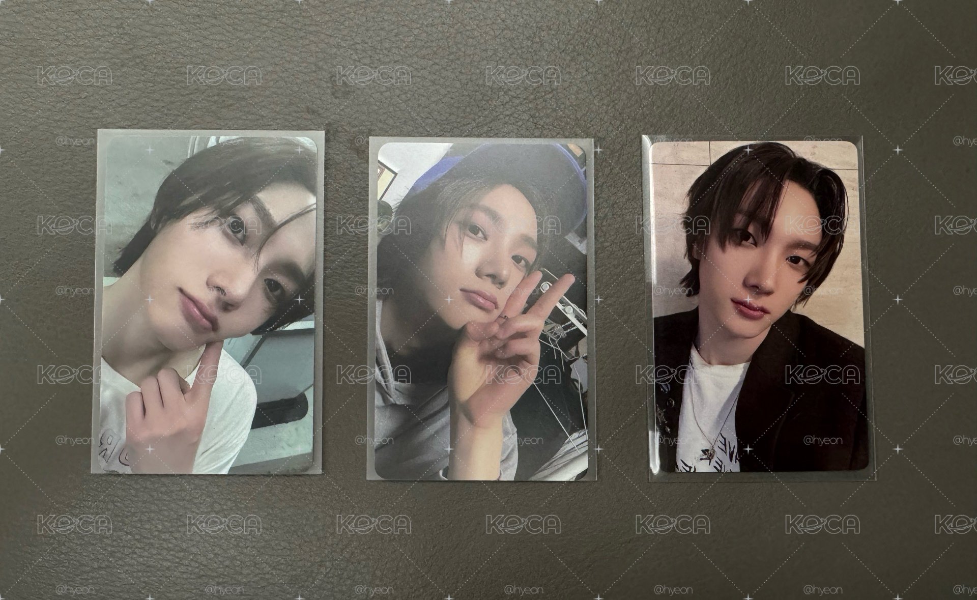BND 19.99 🐈