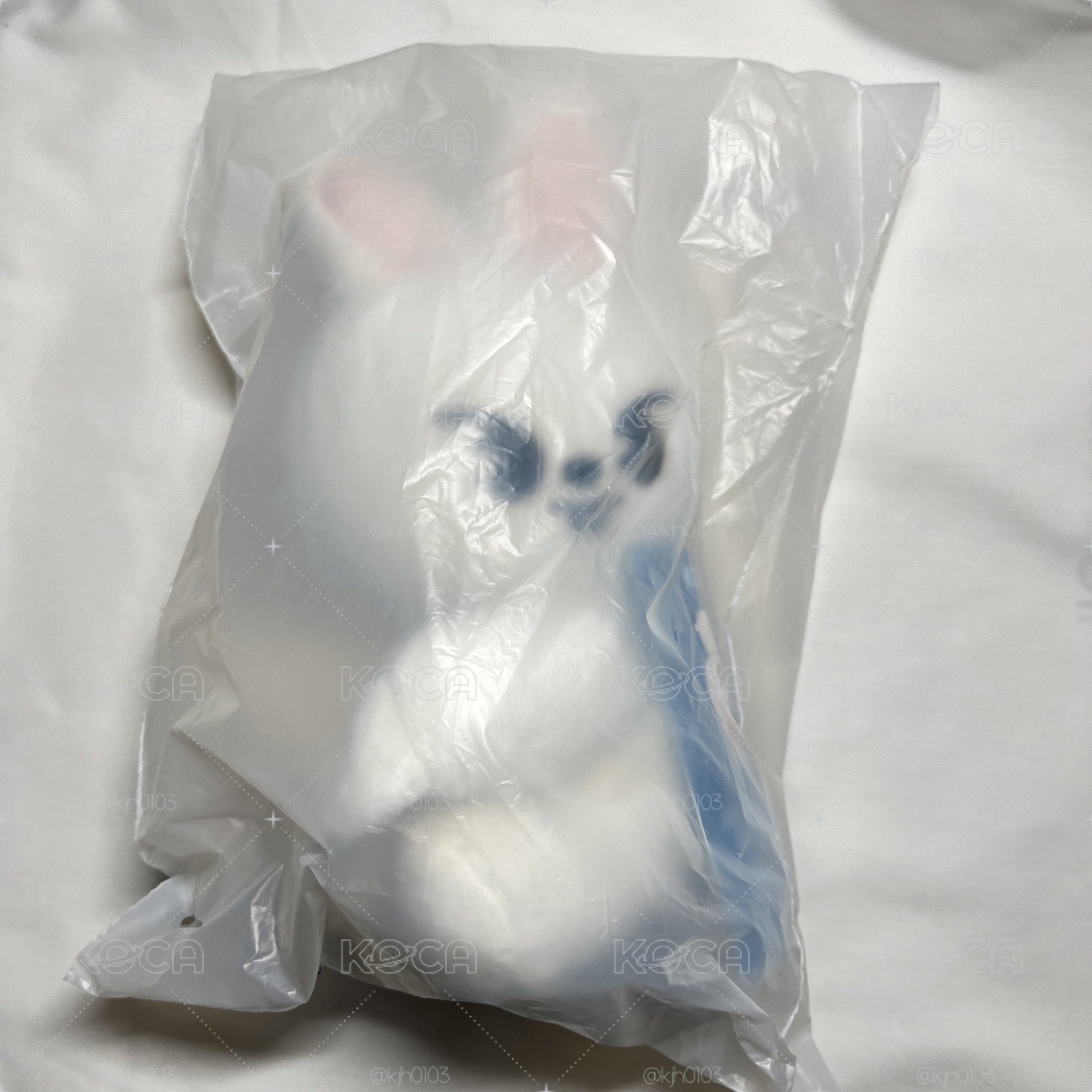 🐰娃