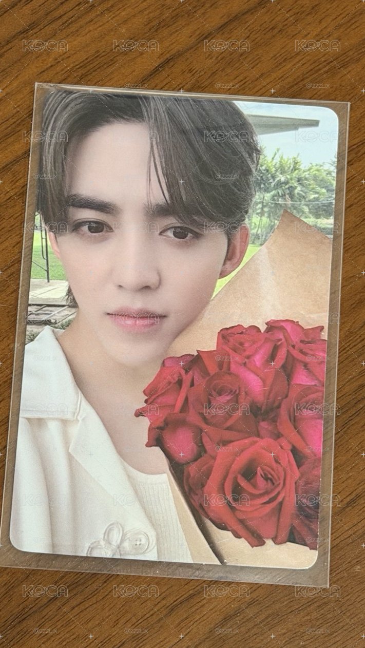 SEVENTEEN S.coups MINI12 yzy 上海線下 簽售卡 