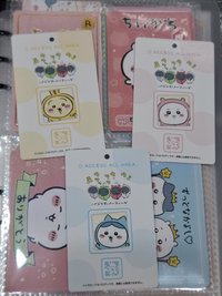 staff卡 吉伊（多帶⭐️1