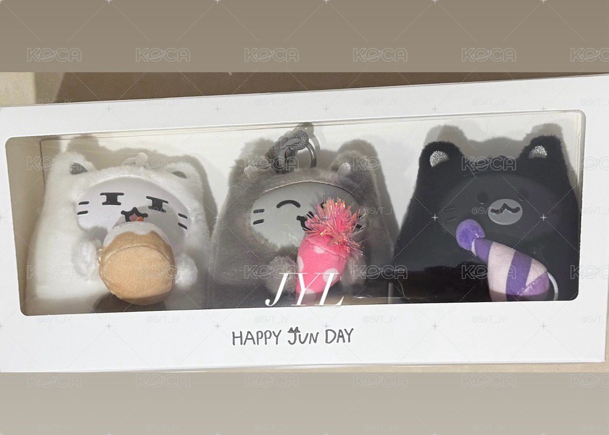 JUN 生日禮 開門關門鎖門🐱