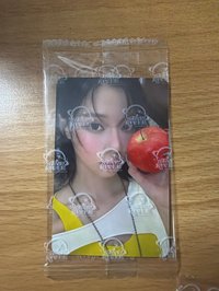 sr 特典 E版 中背
