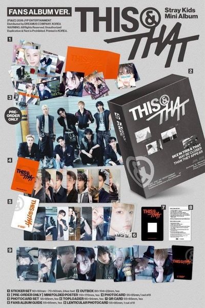 SKZ THIS&THAT 電子專 全新未拆 現貨