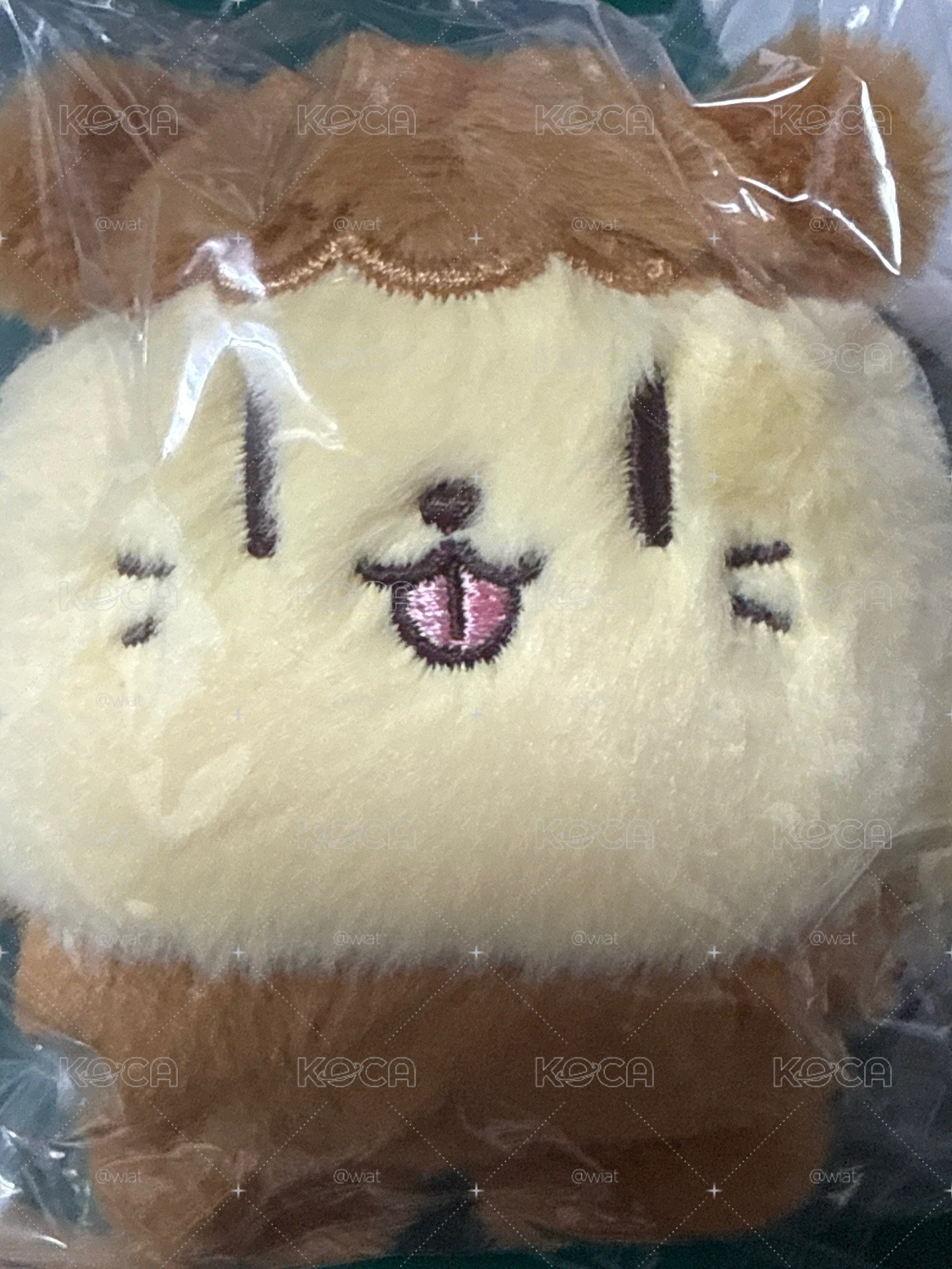 朴志訓娃bboomi 