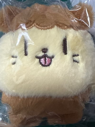 朴志訓娃bboomi 