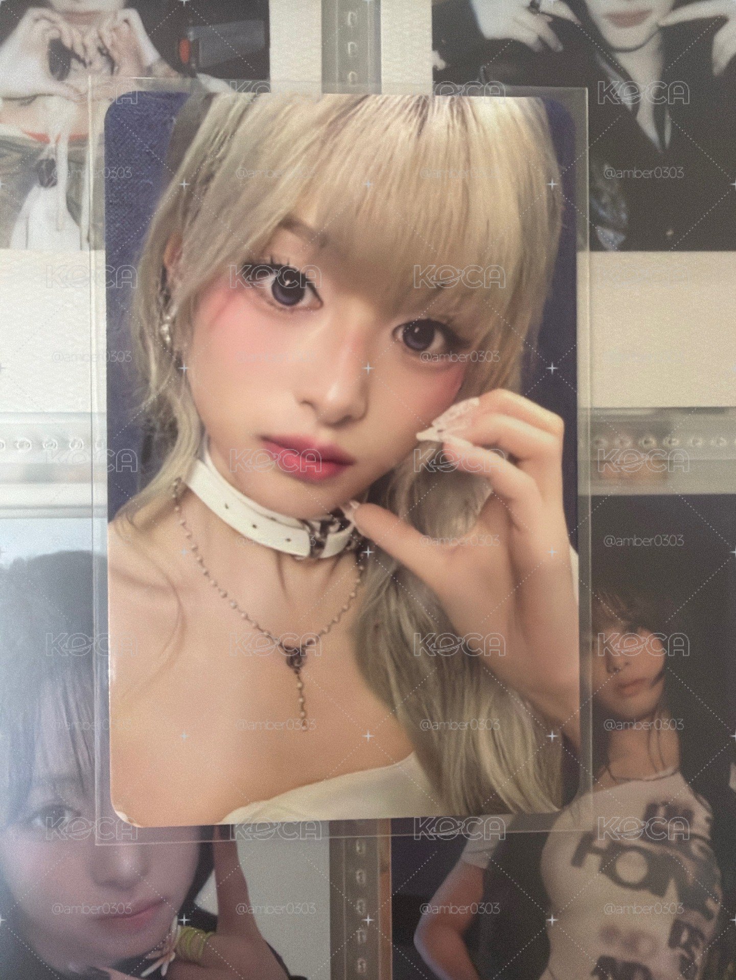 二週年固配賢
