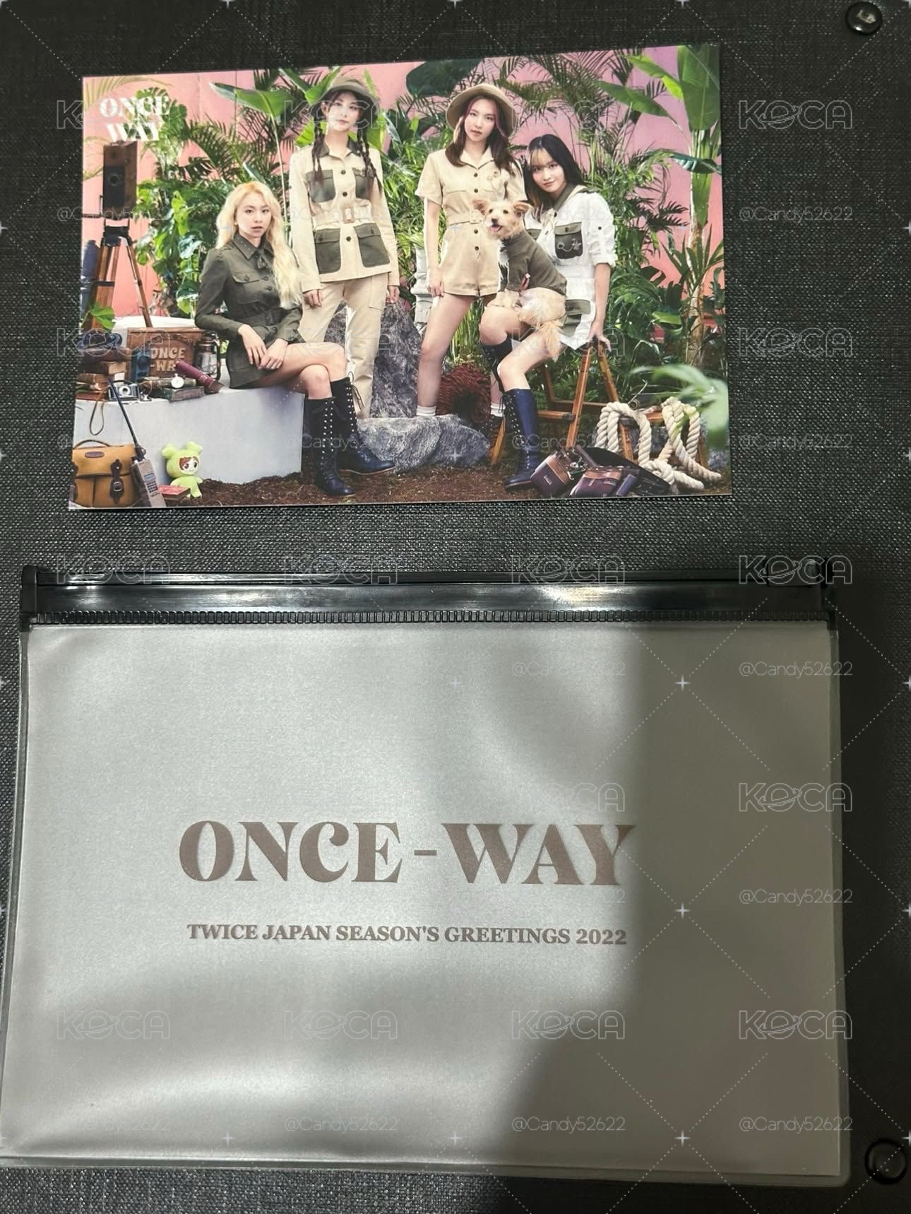 TWICE 22’JP年曆 明信片大卡 臉摸彩瑜+團體