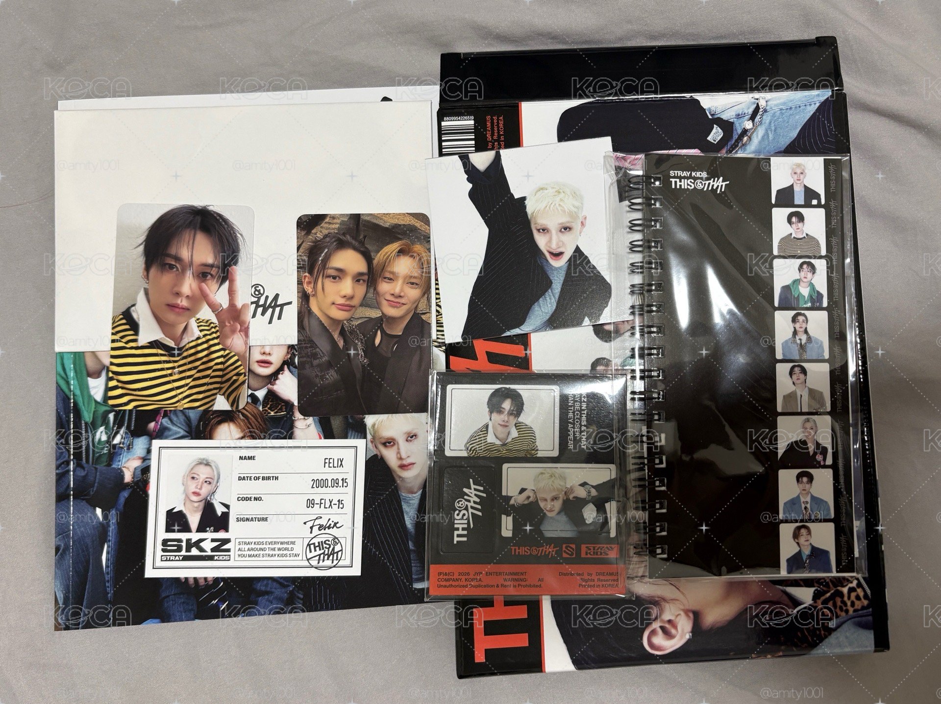 THIS & THAT THIS ver. 全專