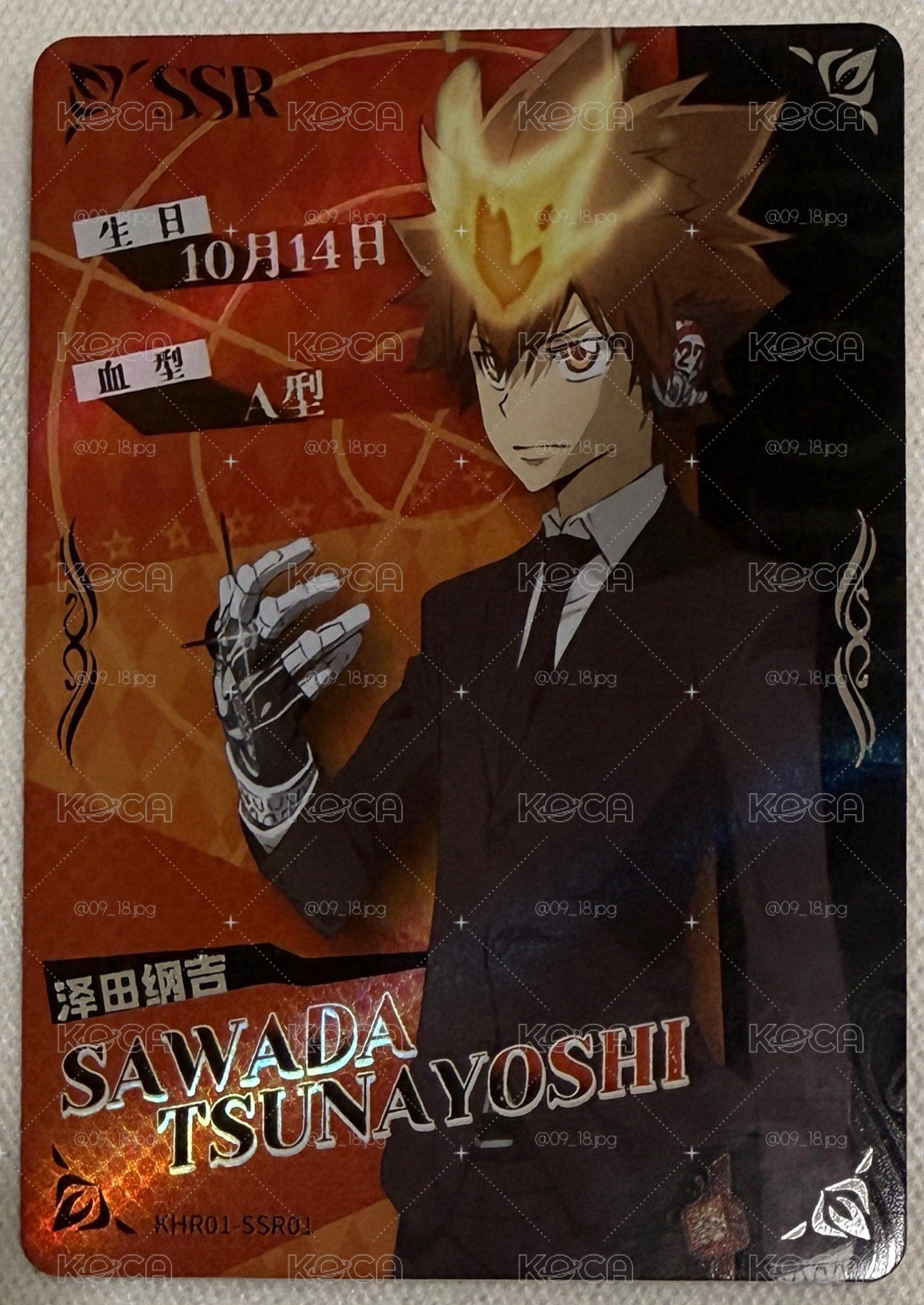 集卡社《家庭教師 HITMAN REBORN!動畫收藏卡・銘刻光陰》