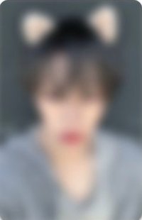迷二 ms 小貓髮夾 簽售卡 