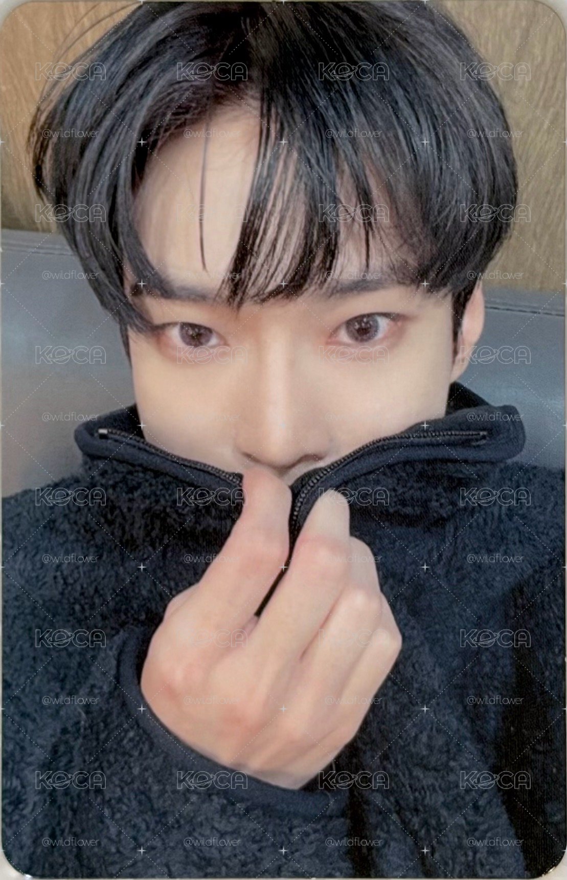 NCT2020專卡 道英 捂臉貂