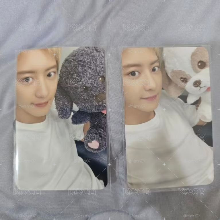 exo 燦烈 娃娃 ZZAR 多芬 TOBEN 多芬 小卡+40cm