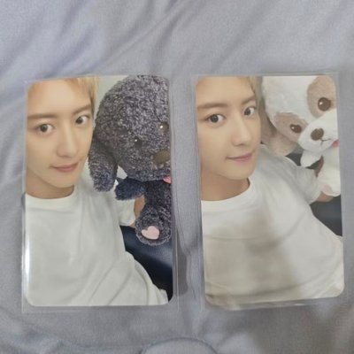 exo 燦烈 娃娃 ZZAR 多芬 TOBEN 多芬 小卡+40cm