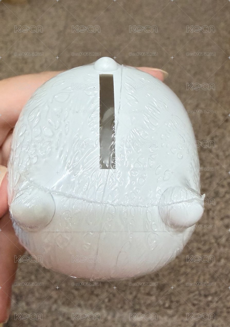 小小存錢筒