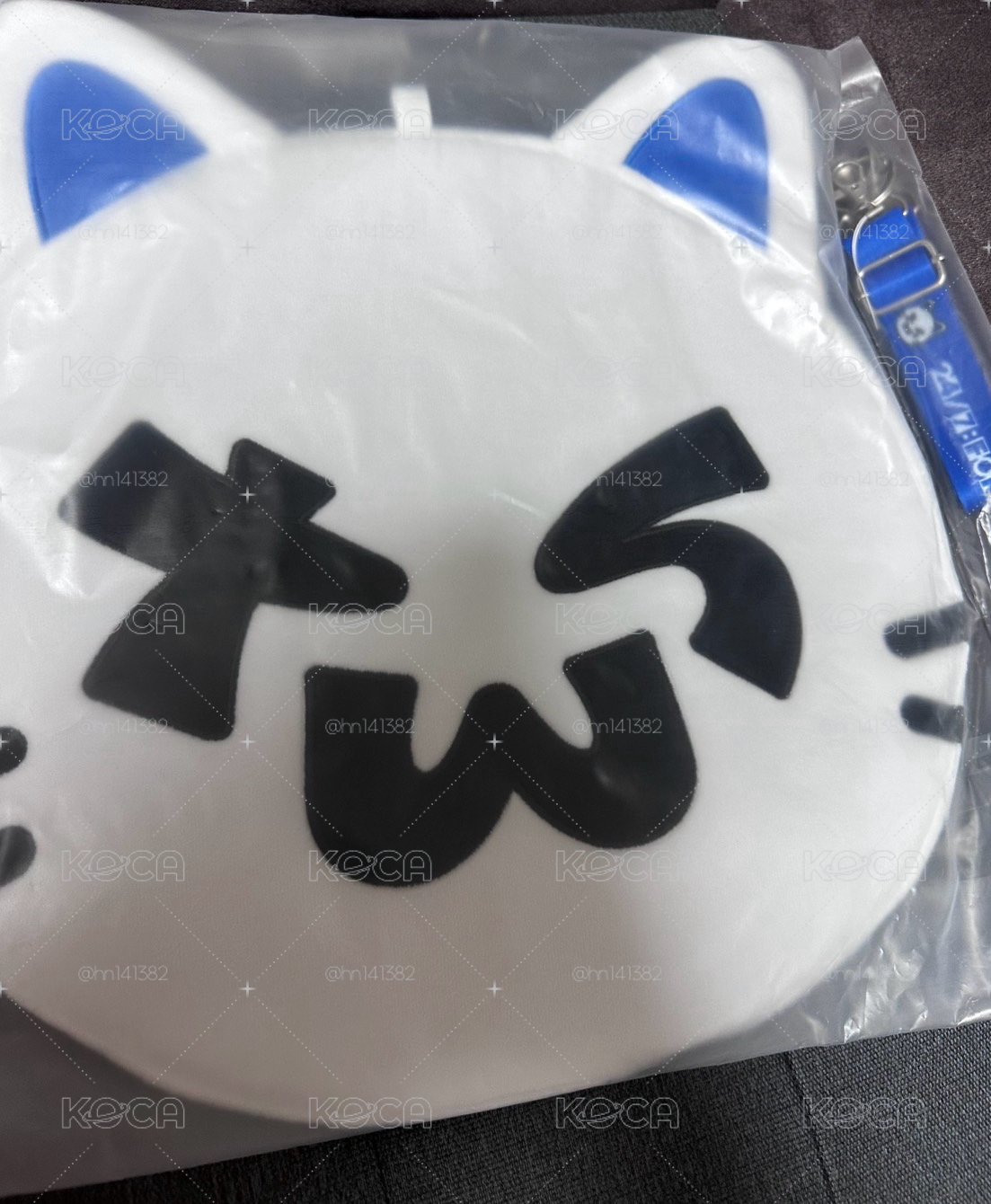 韓振日巡大王扇+扇套