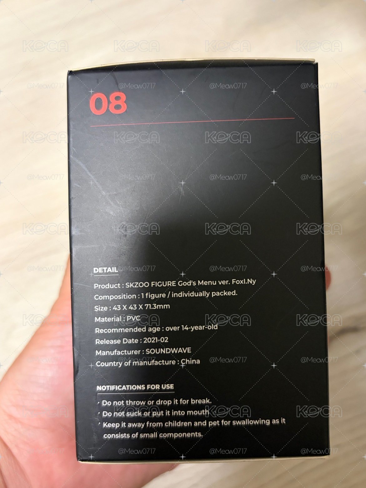 神菜單 I.N 公仔 梁精寅