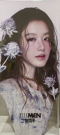 26‘ ELLEMEN新青年 撕拉片 新青年雜誌 斯拉片