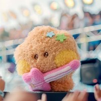 BAND SHOOKY 