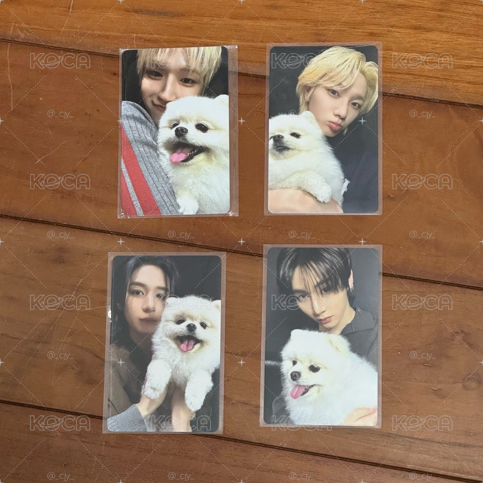 HOME weverse PB預購特典（狗狗卡、吊飾）