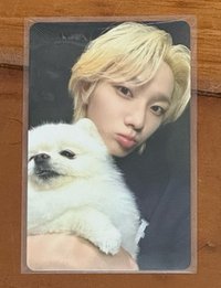 成淏狗狗卡