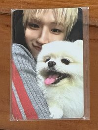 RIWOO狗狗卡