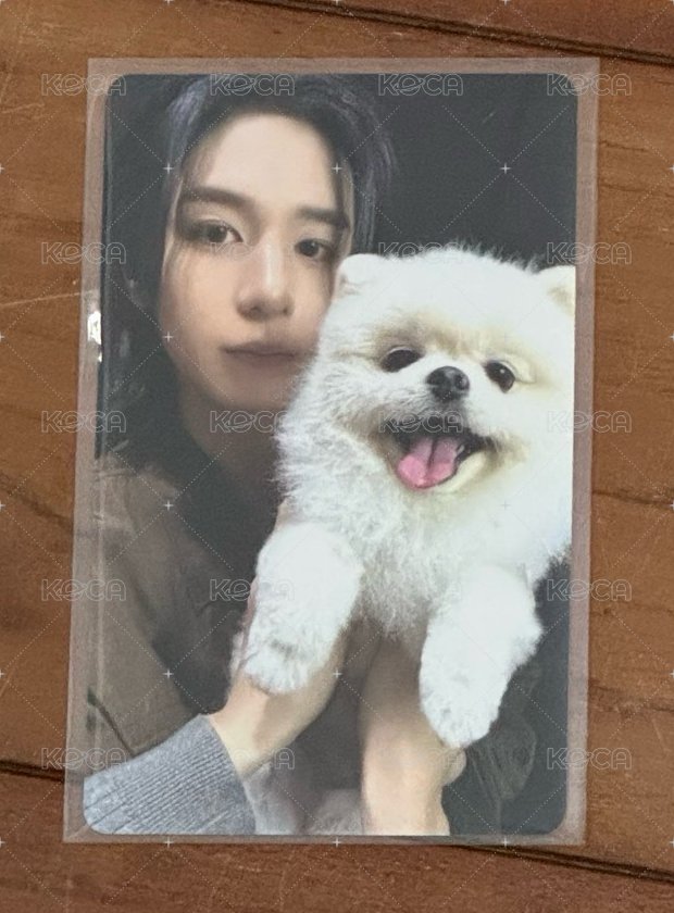 李涵狗狗卡