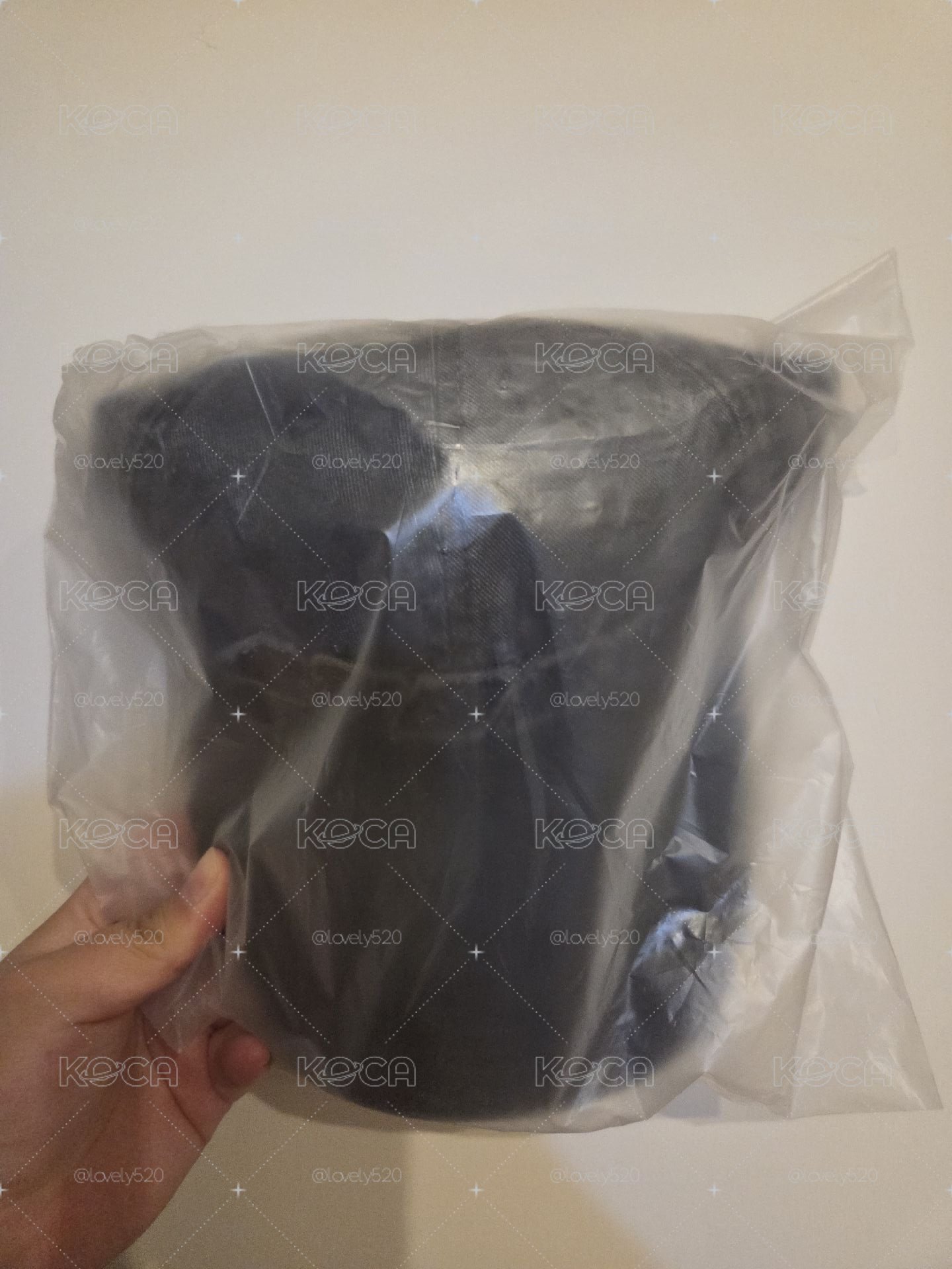 全新未拆 飯咪帽子+潤浩王扇扇柄