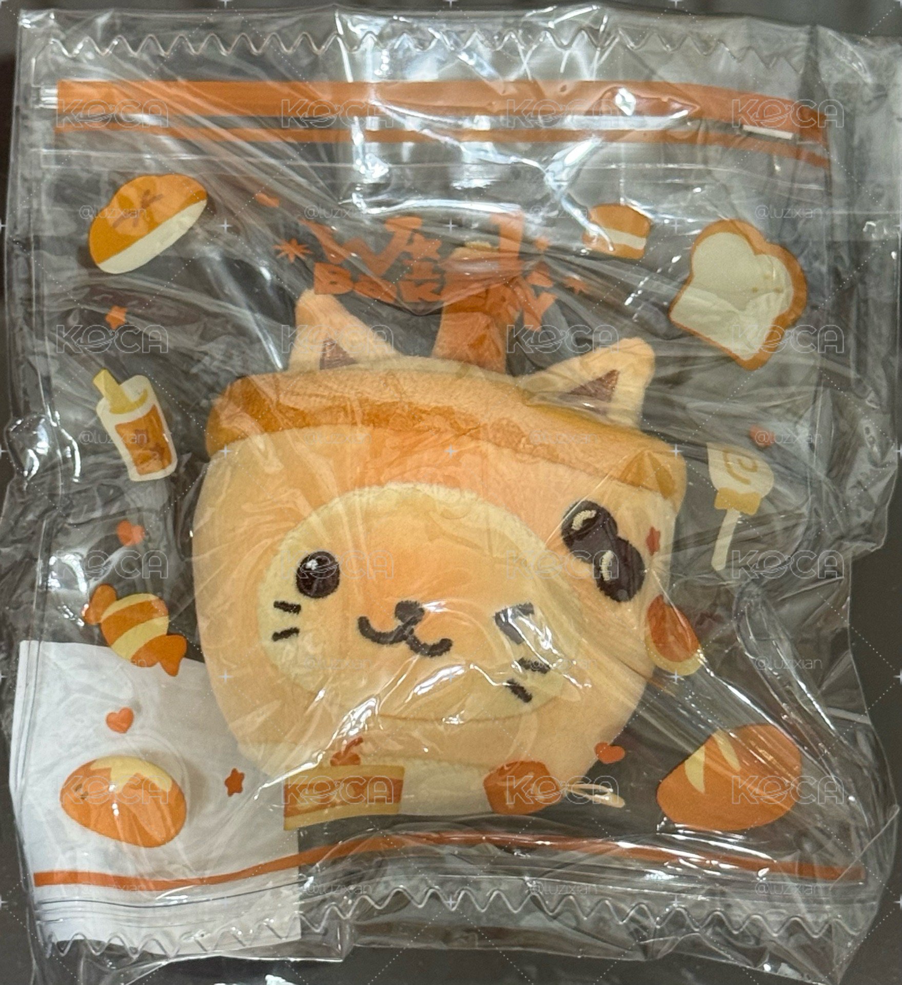 志捏捏