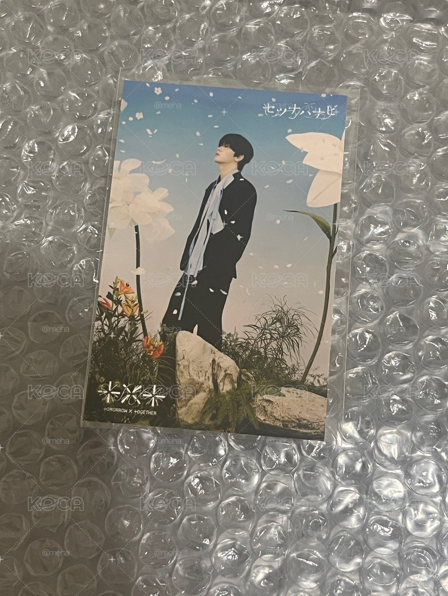 崔秀彬樂天貼紙