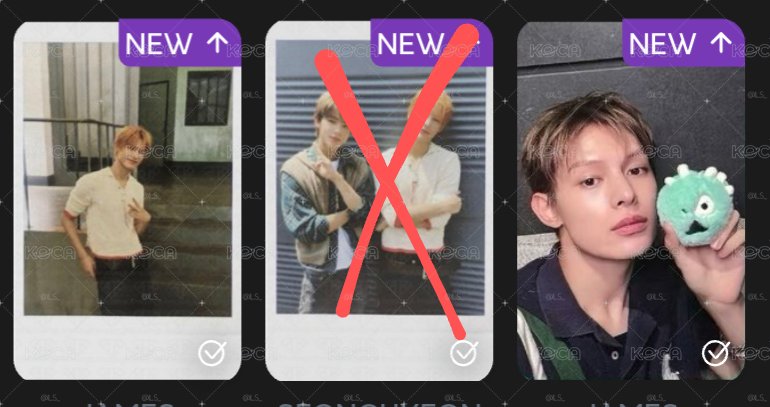 綠球專+年曆拍立得