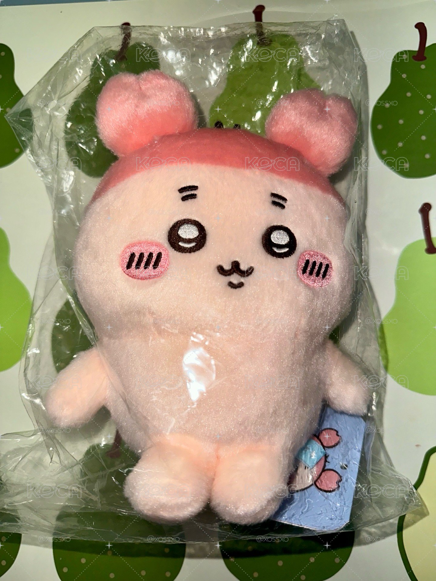 古本屋可動