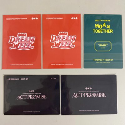 TXT 雙人 多人 演唱會隨機卡 飯咪隨機卡