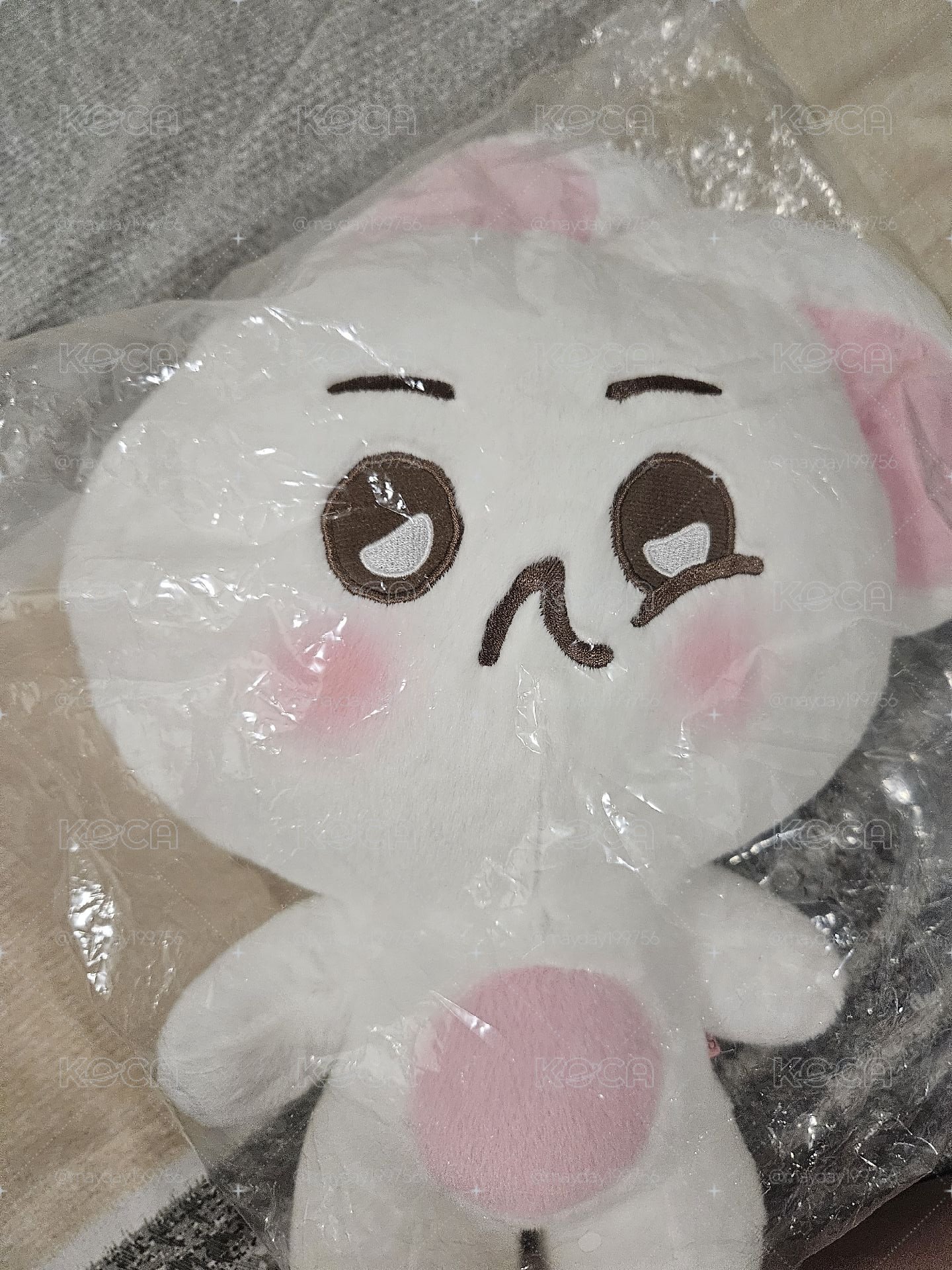 考特尼40cm