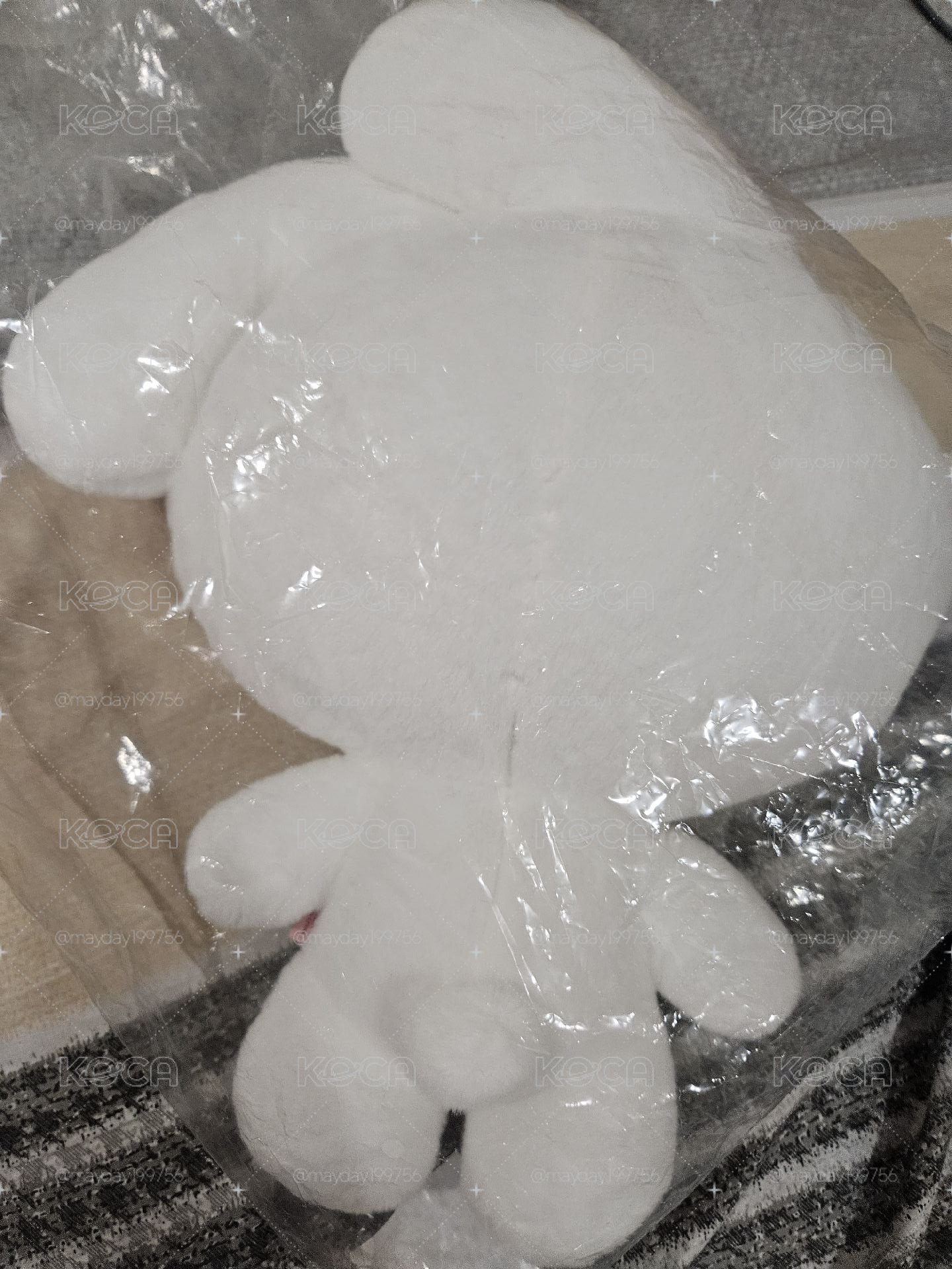 考特尼40cm