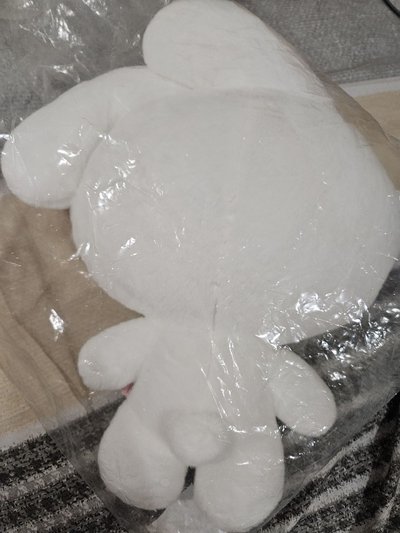 考特尼40cm