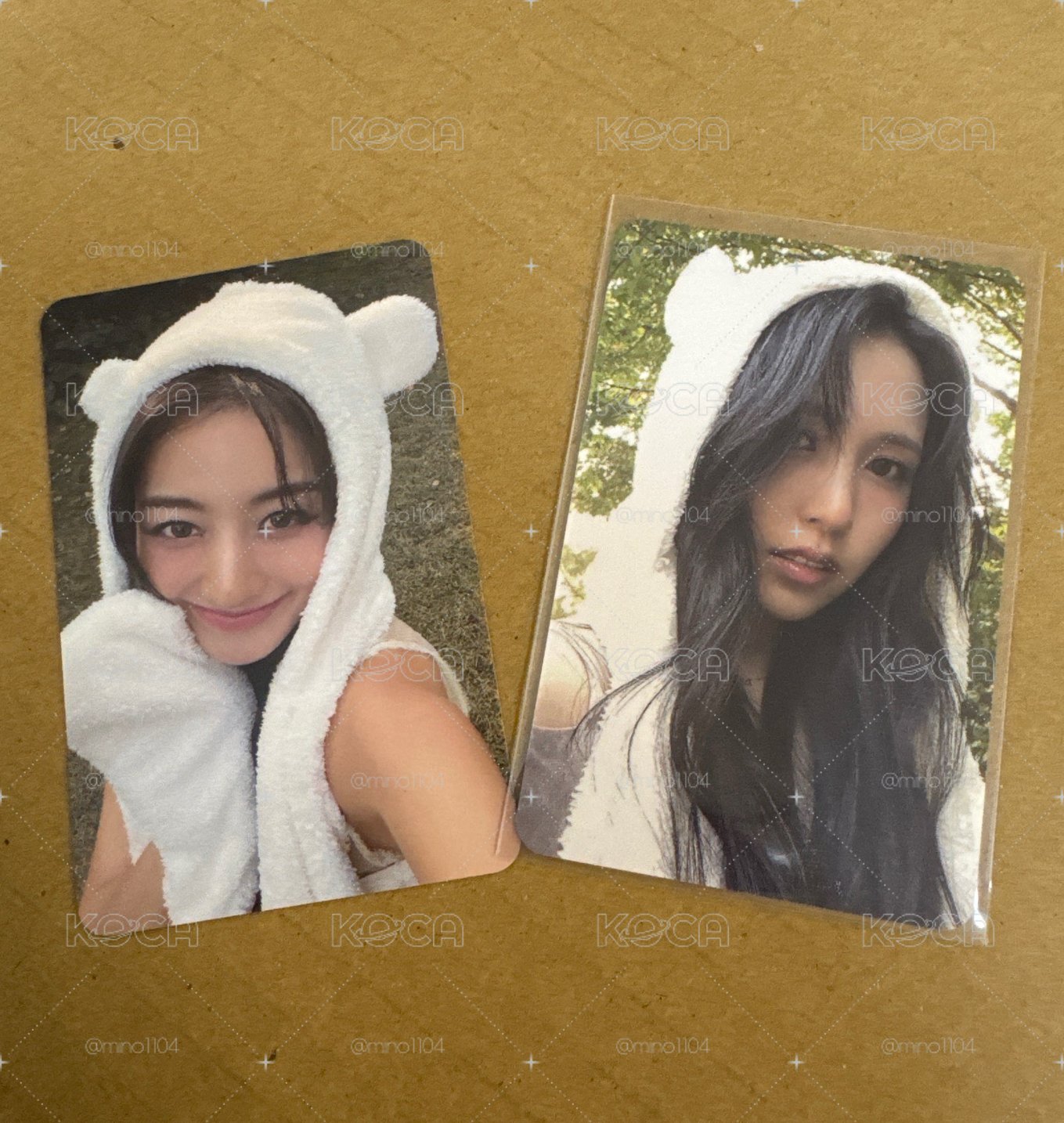 熊帽效南 🦄🐧