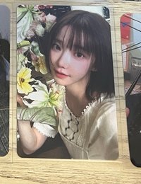 迷二 wvs1.0 塔