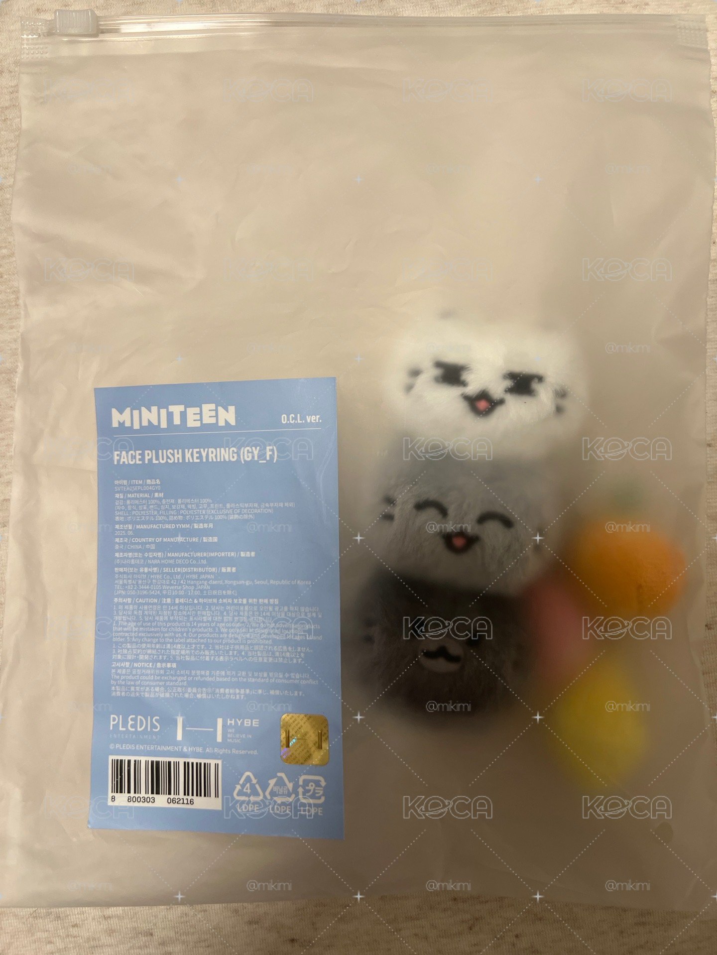 miniteen俊大頭