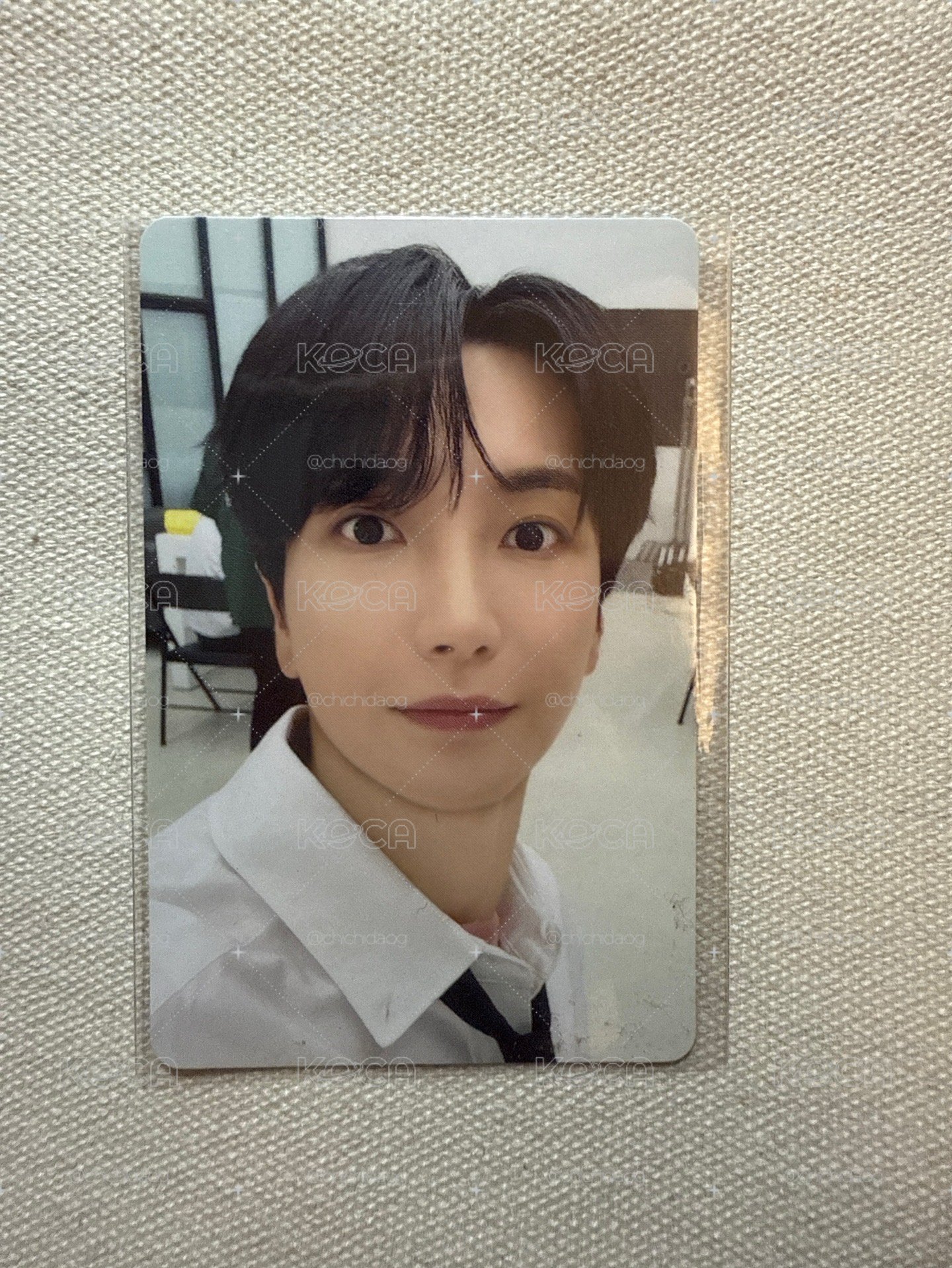 super junior 利特 SS10 周邊卡 小熊餅乾卡