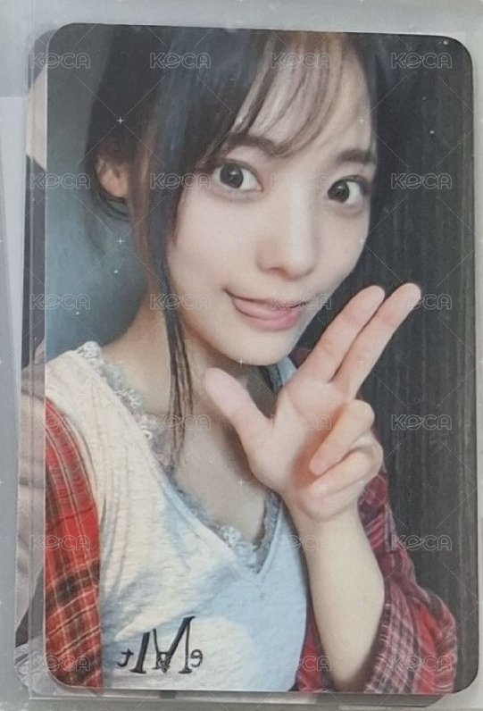ㄅㄧㄤˋ燕