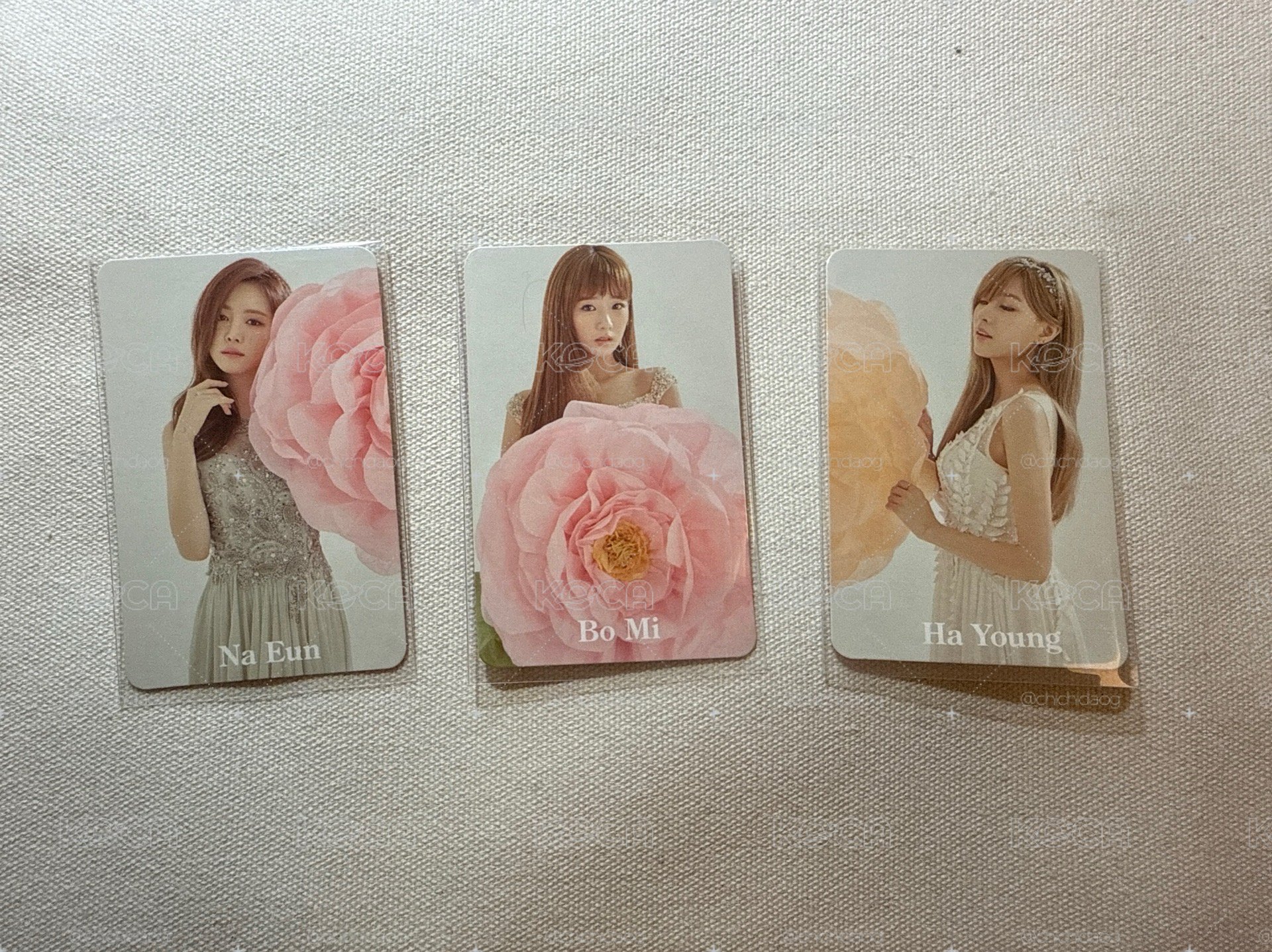Apink pink doll 專輯卡