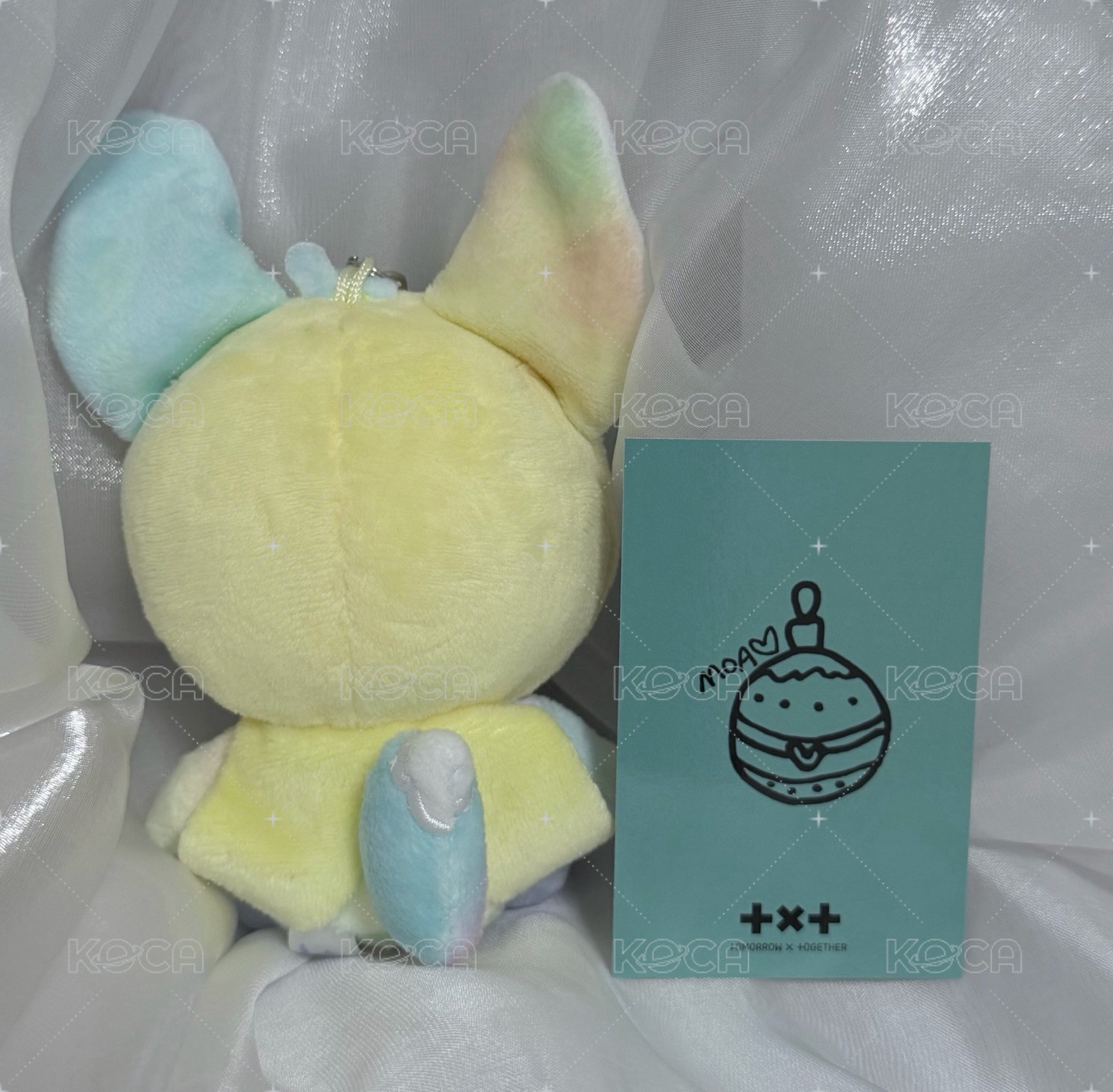 藍紫粉彩春+聖誕公放竣