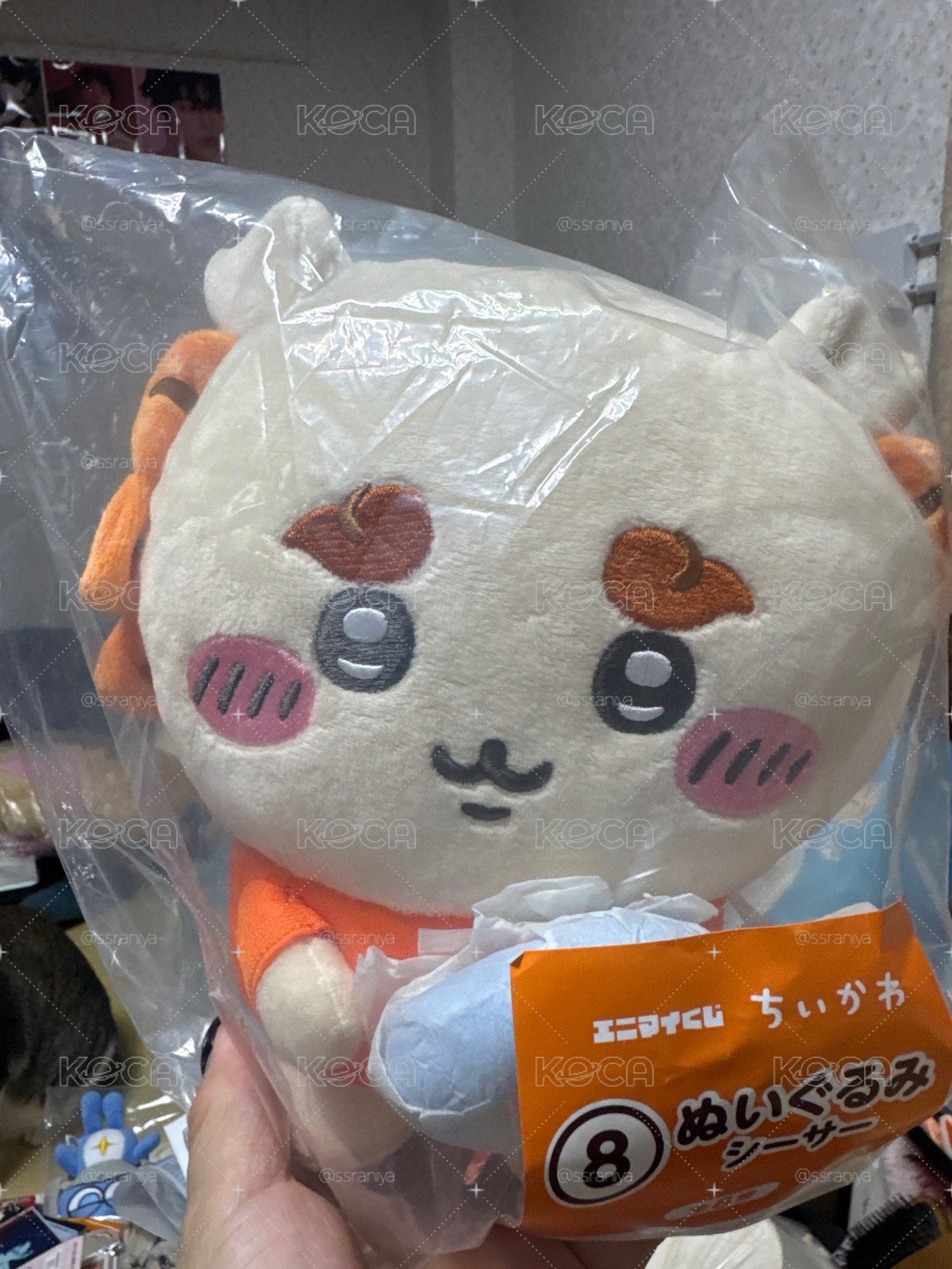 獅薩S娃