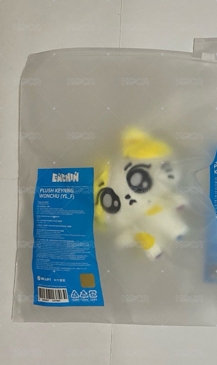 禎元