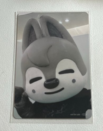 狼抓燦