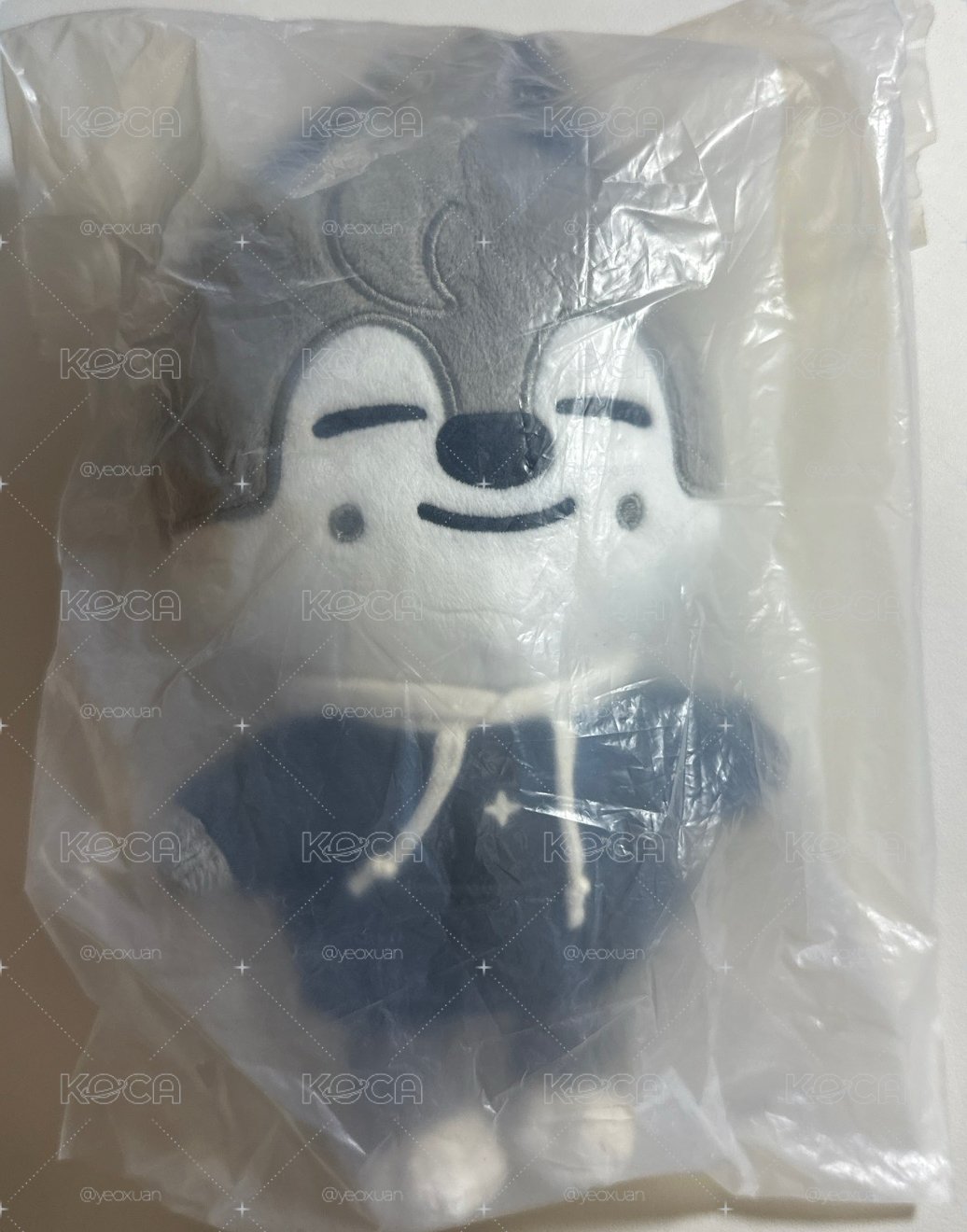 20cm 燦狼