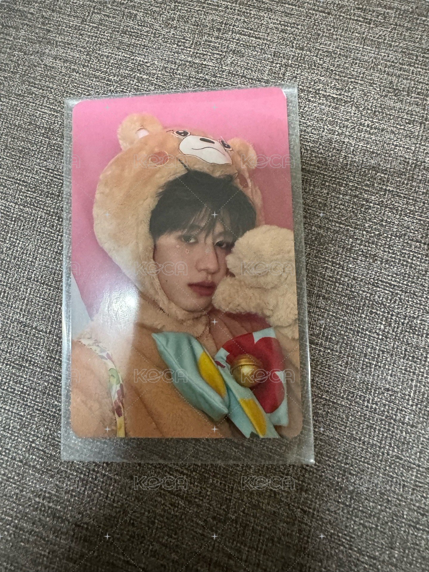 朱小熊