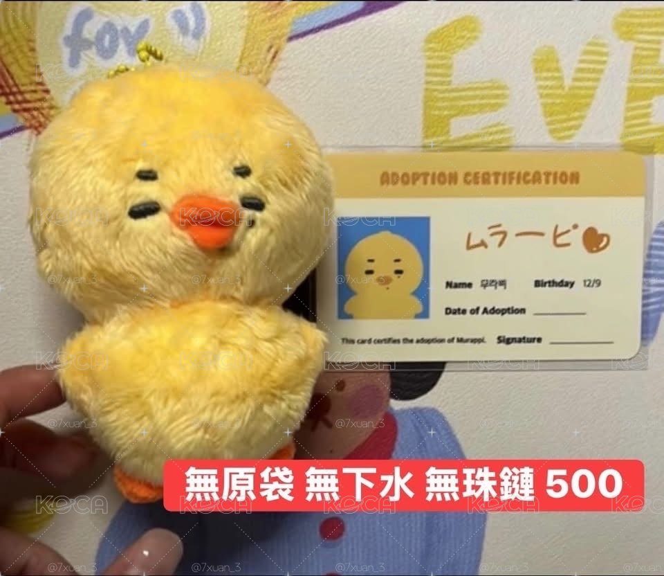 多力小盤