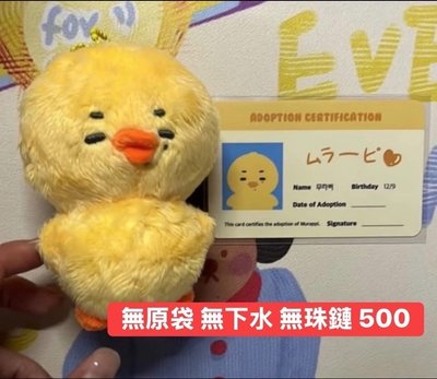 多力小盤