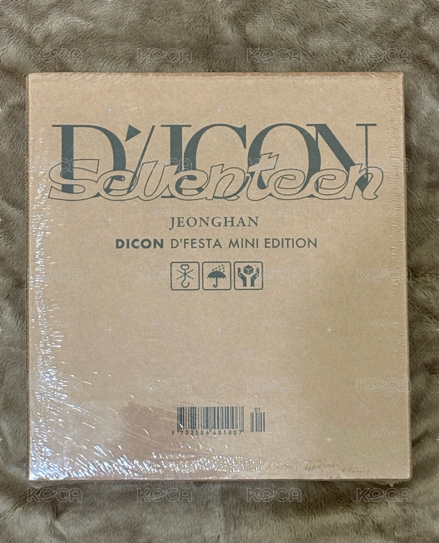 Seventeen Dicon 寫真
